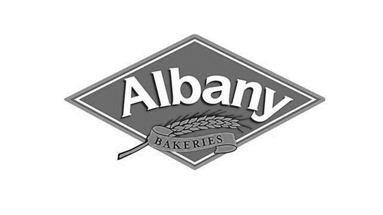 albany logo